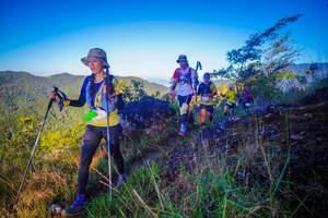 BIB: 
                            <button type="button" onclick="openModal(19063538)" class="btn btn-primary btn-sm float-right btn-popup" data-toggle="modal" data-target=".modal-high-quality">
                        <i class="fas fa-shopping-cart"></i> Add to Cart
                    </button>
                                            <button type="button" onclick="isThisMe(19063538, true)" class="btn btn-success btn-sm float-right btn-popup btn-isme hidden" data-toggle="tooltip" data-placement="bottom" title="นี่คือรูปของคุณใช่ไหม คลิกที่นี่เพื่อเอาเข้าอัลบั้ม">
                        <i class="fas fa-plus"></i> Add to album
                    </button>
                    <button type="button" onclick="isThisMe(19063538, false)" class="btn btn-warning btn-sm float-right btn-popup btn-isnotme hidden">
                        <i class="fas fa-ban"></i> Remove from album
                    </button>